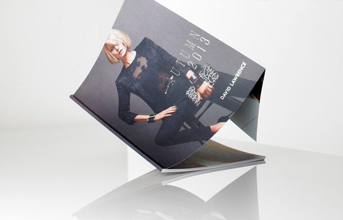 DLAW13_Brochure Cover